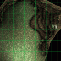 166013.gif