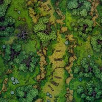 Forest-Rockslide-Gridded-26x39-MapPublic.jpg