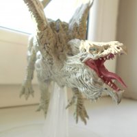 DSCN8108.jpg