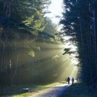 the-path-7631282_1280.jpg
