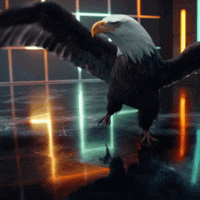 eagly.gif