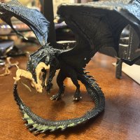 IMG_1266.jpeg