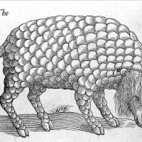 Topsell Gorgon.JPG