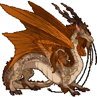 rubiaceae, the pumpkin spice dragon image.png
