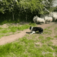 1758864728664.gif