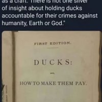 Ducks to Cook as Bards to Snarf.JPG