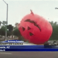 pumpkin.gif