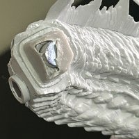 IMG_2812.jpeg