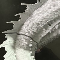IMG_2813.jpeg