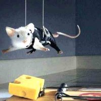 mission impossible mouse.jpg