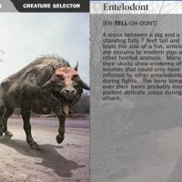 Entelodont.jpg