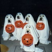 Picture 3.jpg