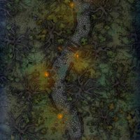 Swamp-Path-Vol3-Gridded-26x39-MapPublic.jpg