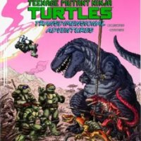 272 tmnt variant.jpg
