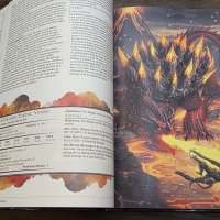 20260316_091601 - Copy.jpg