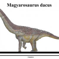 magyarosaurus_dacus_by_teratophoneus_dfhbdb1-pre.jpg