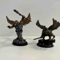 Bones 6 Aarakokra.jpg