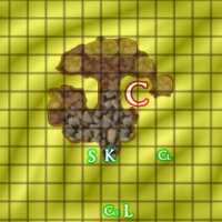 False-Oasis-Round-2.jpg