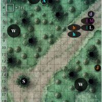 C1-r0.jpg