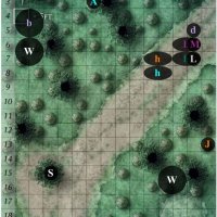 C1-r1.jpg