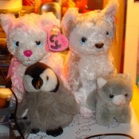 Stuffed Animals.JPG