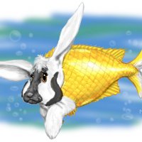 rabbitfish-high.jpg