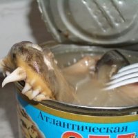 R1 - M7 - Image 1.jpg