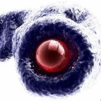 R1 - M8 - Image 4.jpg