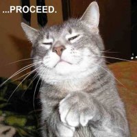 proceed_cat.jpg
