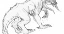 wingless-dragon.jpg