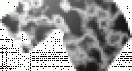 marble_cat.gif