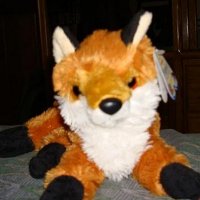 Axel Fox2.JPG