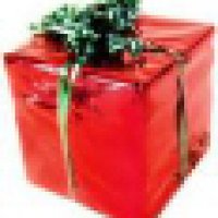 Xmas_present_avatar.jpg