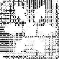 attack_beast_burst.png