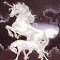 Unicorn5.JPG