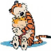 Calvin and Hobbes_avatar2.jpg