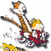 Calvin and Hobbes_avatar4.jpg