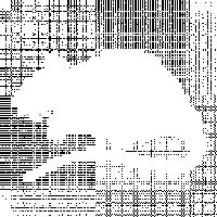 misc_disease-(rat).png