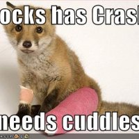 funny-pictures-your-firefox-needs-cuddles.jpg