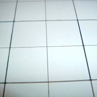 DSCF0010.jpg