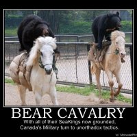 bear cavalry 2.jpg