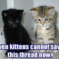 even kittens cant save.jpg