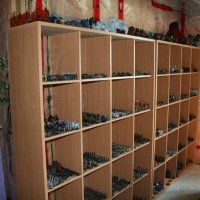 IMG_4432.JPG