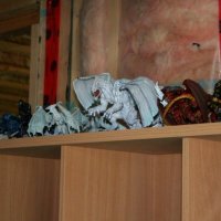 IMG_4435.JPG