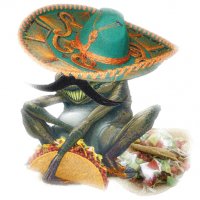 tacoslaad.jpg