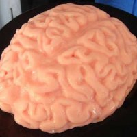 brain.jpg