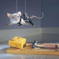 300-mouse.jpg