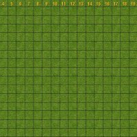 Grass Grid.jpg