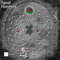 Nautilus2.jpg