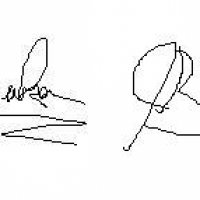 signature.jpg